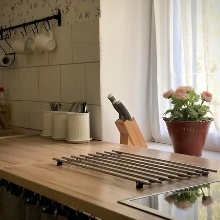 Alpakarium, Hodowla Alpak & Pensjonat Stara Kornica Bagian luar foto