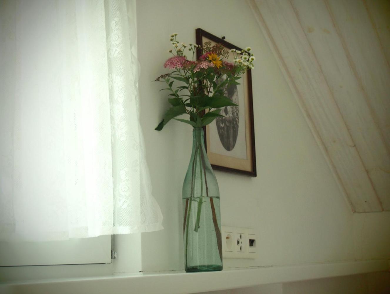 Alpakarium, Hodowla Alpak & Pensjonat Stara Kornica Bagian luar foto