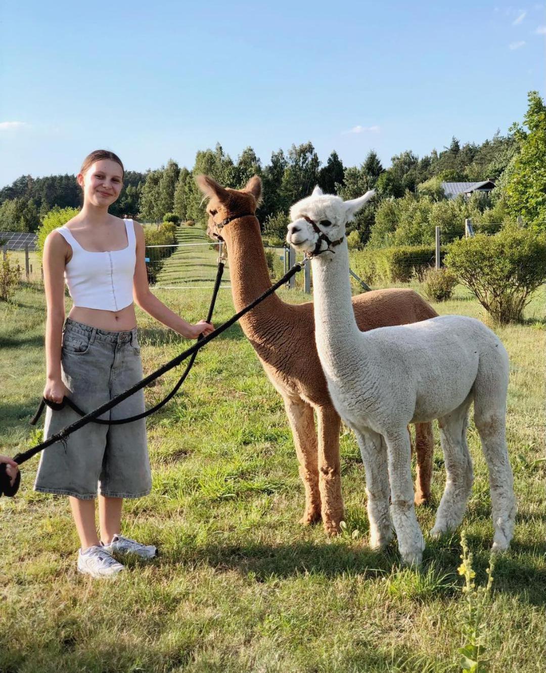 Alpakarium, Hodowla Alpak & Pensjonat Stara Kornica Bagian luar foto
